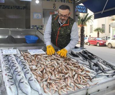 Hamsi ve palamudun yerini dip balıkları aldı