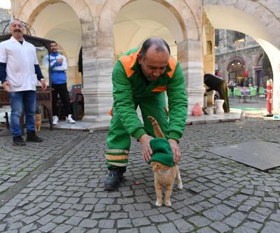 Kediye bere takan işçi fenomen oldu