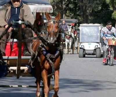 Adalardaki faytonlar İBBye geçti