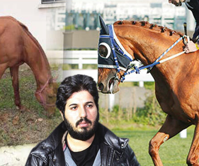 Kividen, muzdan kuru samana... Reza Zarrabın atı ‘Dayım benim’ şimdi bu halde