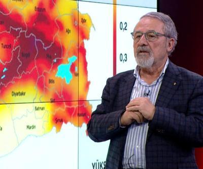 Naci Görür: Bu fay üzerinde yeni depremler olabilir