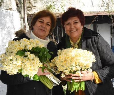 Karaburun Nergis Festivali buruk başladı