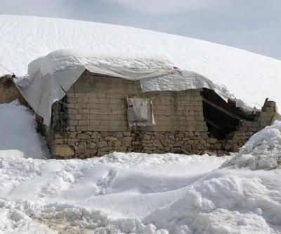 Kar ağırlığına dayanmayan ahır çöktü