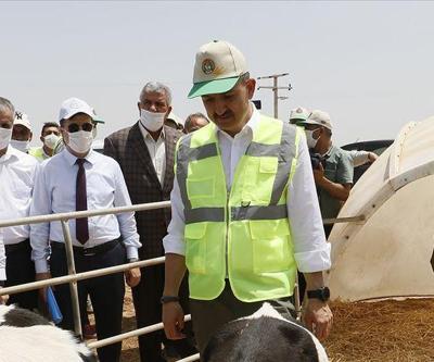 Pakdemirli: Ödemeler en kısa zamanda hesaplarda olacak