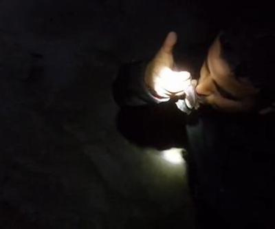 Bursalı maceracı yarasa öptü