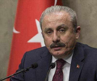 TBMM Başkanı Şentoptan Babalar Günü mesajı:
