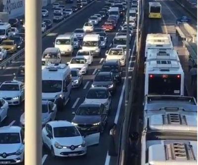 Merterde D-100 trafiğini durdurdu; Sürücünün kedi kurtarma operasyonu