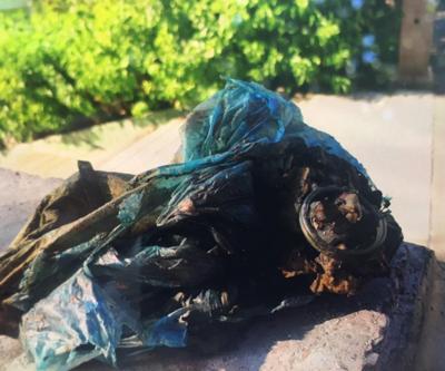 Balık zannettiler el bombası çıktı | Video