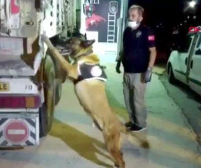 Polis Kocaelide şüpheli bir TIRda arama yaptı. 132 kilo uyuşturucu ele geçirildi | Video