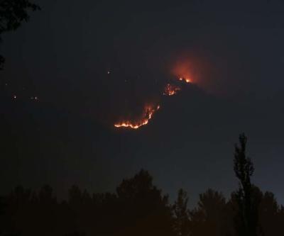 Adanada orman yangını sürüyor