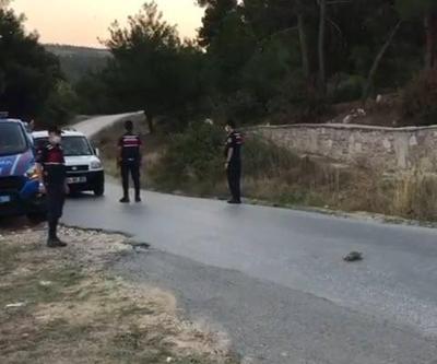 Jandarmadan örnek davranış Kaplumbağalar için yolu trafiğe kapattı