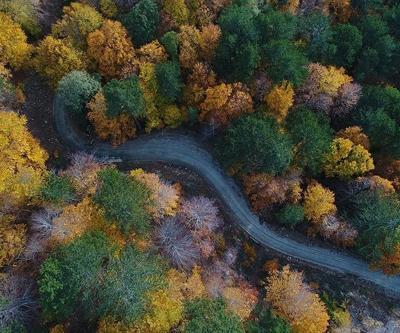 Kaz Dağları Nerede Hangi Şehirde Kaz Dağlarına Nasıl Gidilir