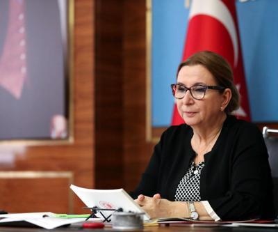 Bakan Pekcan, Bulgaristan Ekonomi Bakanı Borisov ile görüştü