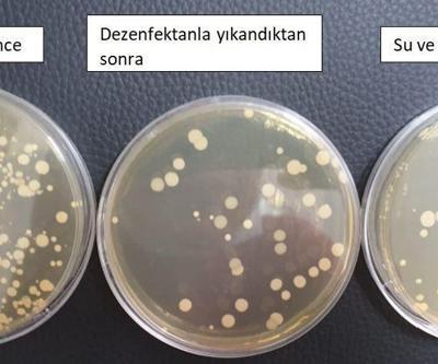 Uzun süre kullanılan maskedeki bakteriler laboratuvarda görüntülendi