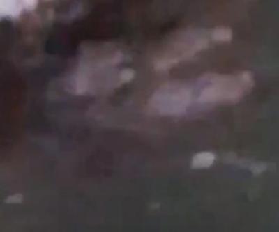 Bakan Kurum Kirmir Çayında görülen su samurlarını paylaştı