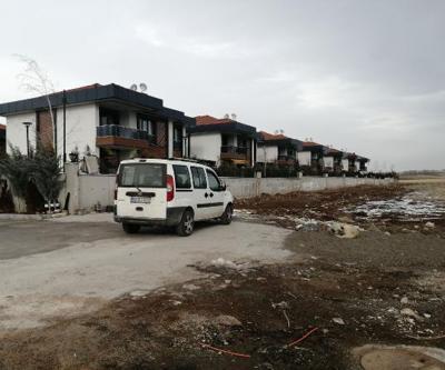 Vaşak ırkı azaldı:  Sayısı artan domuzlar mahallelere iniyor