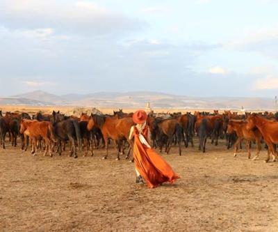 Fotoğraf tutkunlarının yeni gözdesi; Yılkı atlarıyla ünlü Hürmetçi Sazlığı