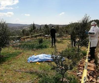 Zeytin ağaçlarını kestiği gerekçesiyle tartıştığı ağabeyini öldürdü