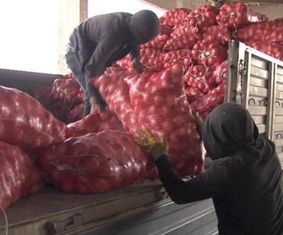 Patates-soğan alımı başladı