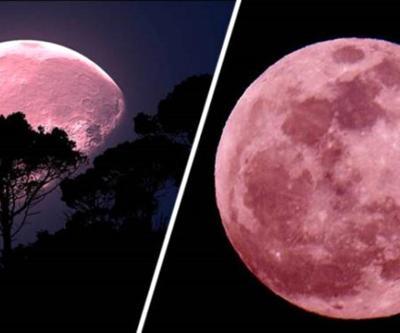 Pembe ay nedir, süper dolunay ne anlama geliyor Pembe dolunay ne zaman, saat kaçta