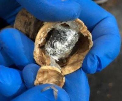 153 kilo afyon sakızını ceviz kabuklarının içine gizlemişler