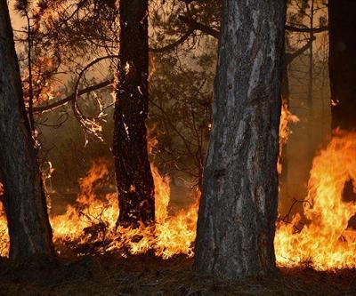 Orman yangınlarında Ege ve Akdeniz için kırmızı alarm
