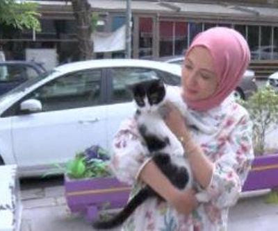 Ankaranın kedi kafesi