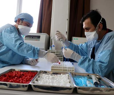 Yerli aşıda flaş gelişme e-Nabız üzerinden başvurabilirsiniz