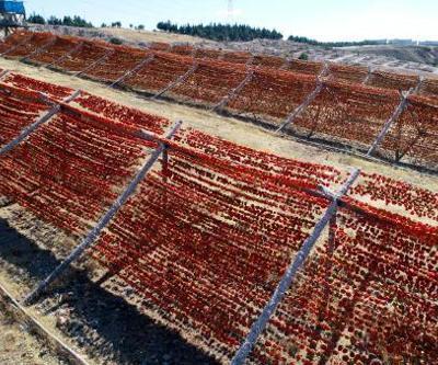 Gaziantepte kurutmalık sezonu başladı