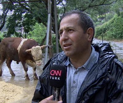 Bu yıl kurban fiyatları ne kadar
