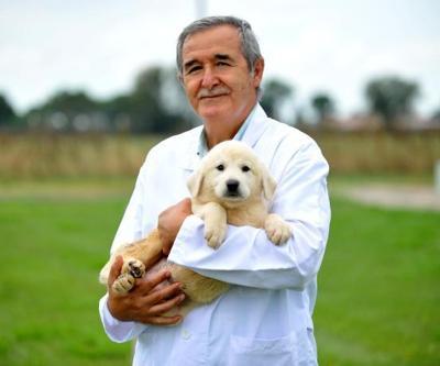 Kangal ve akbaşları almak için 1 yıllık sıraya giriyorlar