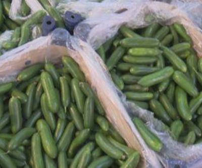 Tarladan markete 4 kat artış