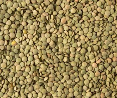 Yumurtadan 10 kat fazla protein  içeriyor