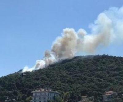 Heybeliadada orman yangını