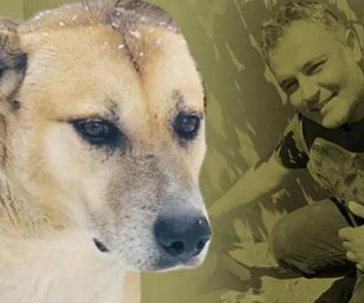 Daire 16 onu kurtardı: Köpük rahat bir nefes aldı