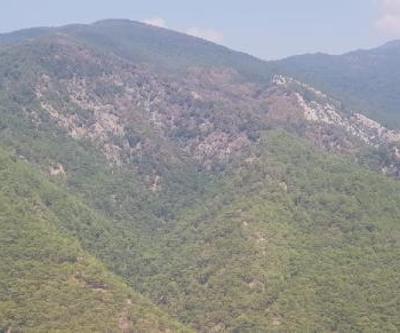 Kazdağı Milli Parkında yanan alanlar havadan görüntülendi