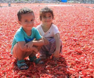 Şanlıurfada, acı mesaisi başladı
