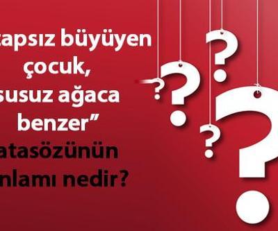 Kitapsız Büyüyen Çocuk Susuz Ağaca Benzer Atasözünün Anlamı Nedir Kısaca Açıklaması Ve Örnek Cümle…