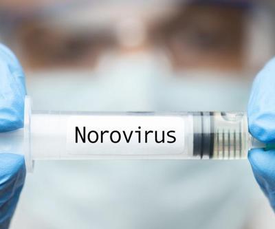 Norovirüs belirtileri nelerdir, nasıl geçer Norovirüs 2021 nasıl bulaşır, özellikleri neler
