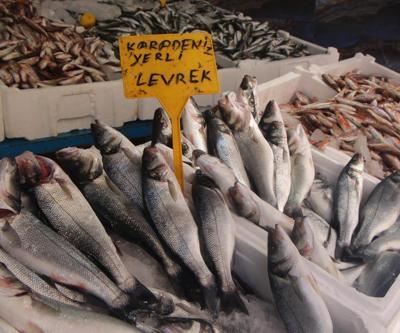 Karadenizde istavrit bolluğu; kilosu 8 TLye düştü