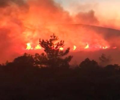 Son dakika Karaburunda korkutan orman yangını