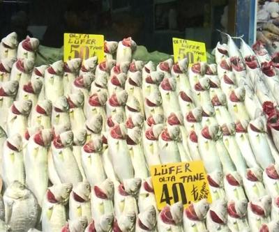 Tezgahlarda palamut ve lüfer bolluğu yaşanıyor