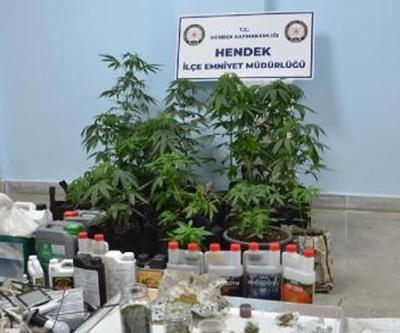 Evinde kurduğu serada GDO’lu kenevir yetiştiriyordu