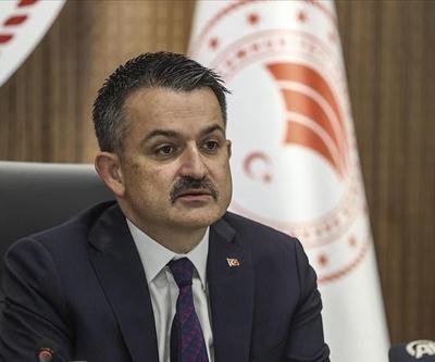 Pakdemirli: Türkiye en çok etkilenecek ülkelerden