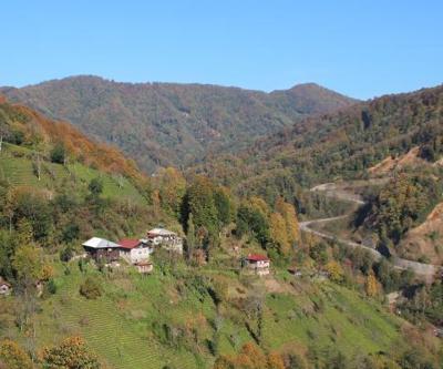 Bal ormanına taş ocağı için bilirkişi raporu: Ekolojik denge yok olur