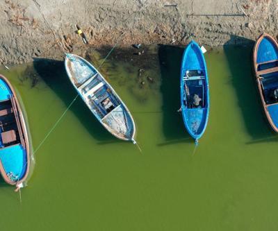 Kuş cenneti Bafa Gölünde korkutan görüntü