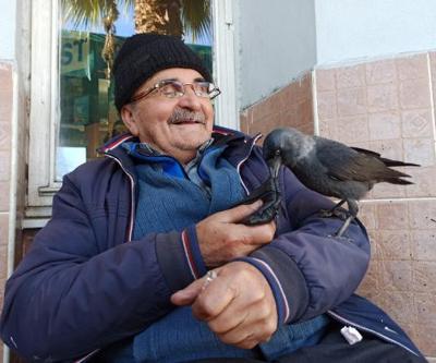 Ayakkabı boyacısıyla karganın ebedi dostluğu