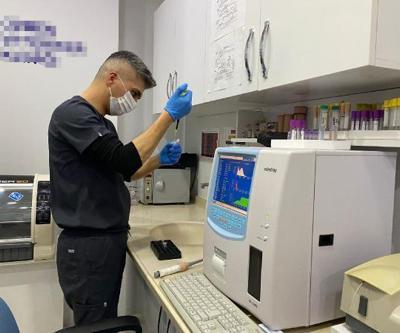 ‘Kör eden parazit’ aktarımı kedilerden daha fazla