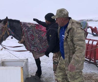Çıldır’da atları üzerine battaniye örterek koruyorlar