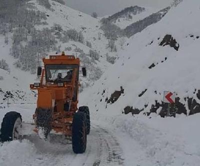 Tunceli- Erzincan kara yolu kar nedeniyle TIR geçişine kapatıldı